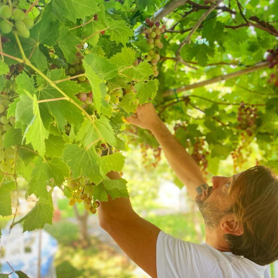 Masseria Vittoria Acaya Eksteriør billede